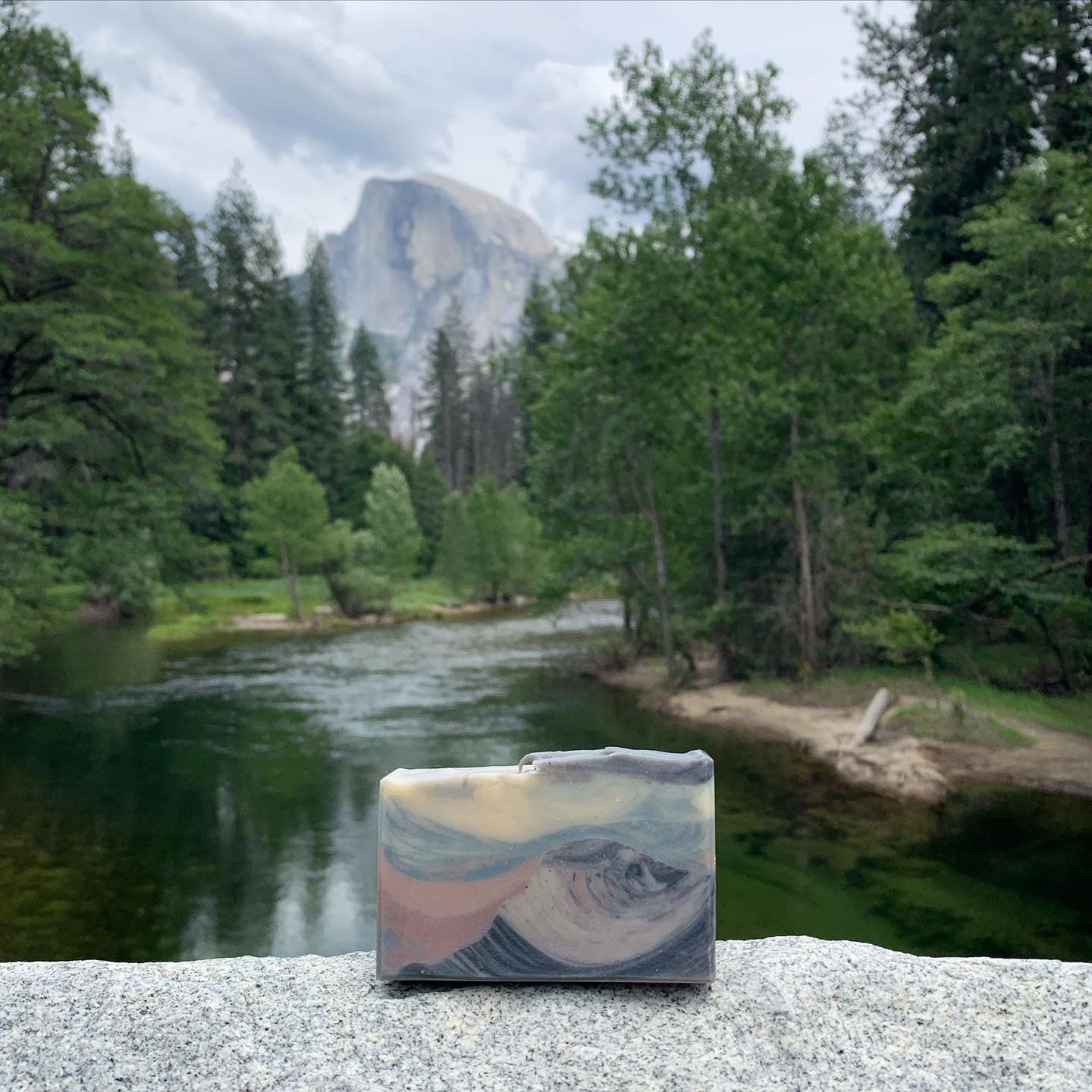 Half Dome Soap // Pine Fir Needle Clove