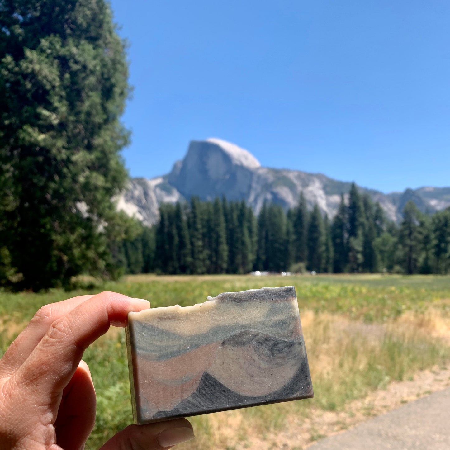 Half Dome Soap // Pine Fir Needle Clove