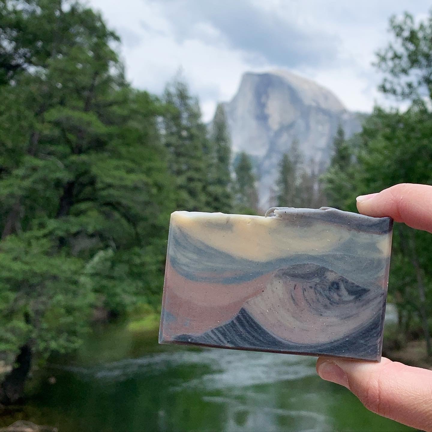 Half Dome Soap // Pine Fir Needle Clove